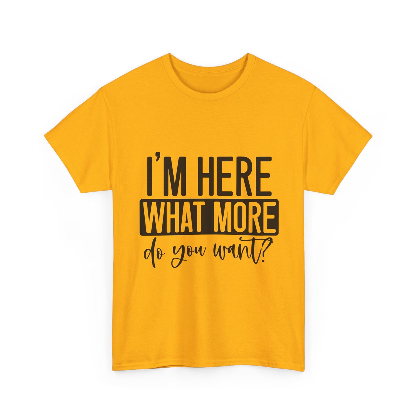 I'm Here What More Do You Want T-Shirt - Introvert Tee