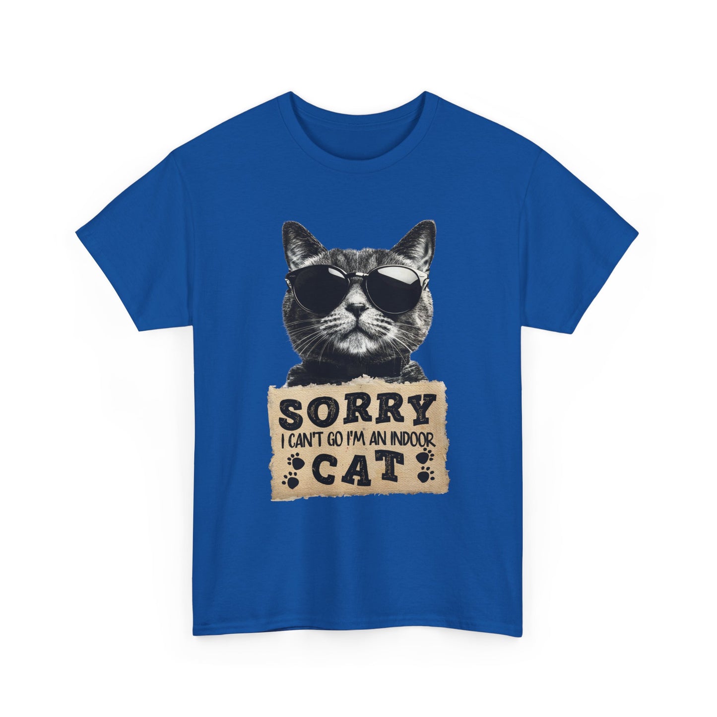 Indoor Cat T-Shirt - Sorry I Can't Go Meme Tee