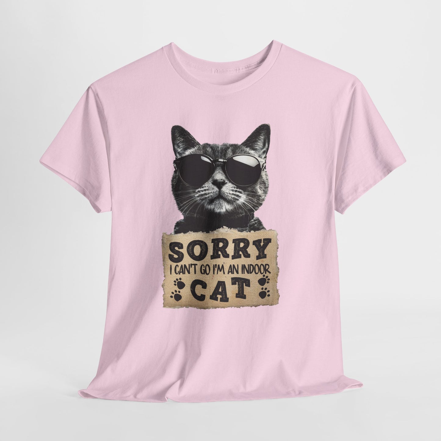 Indoor Cat T-Shirt - Sorry I Can't Go Meme Tee