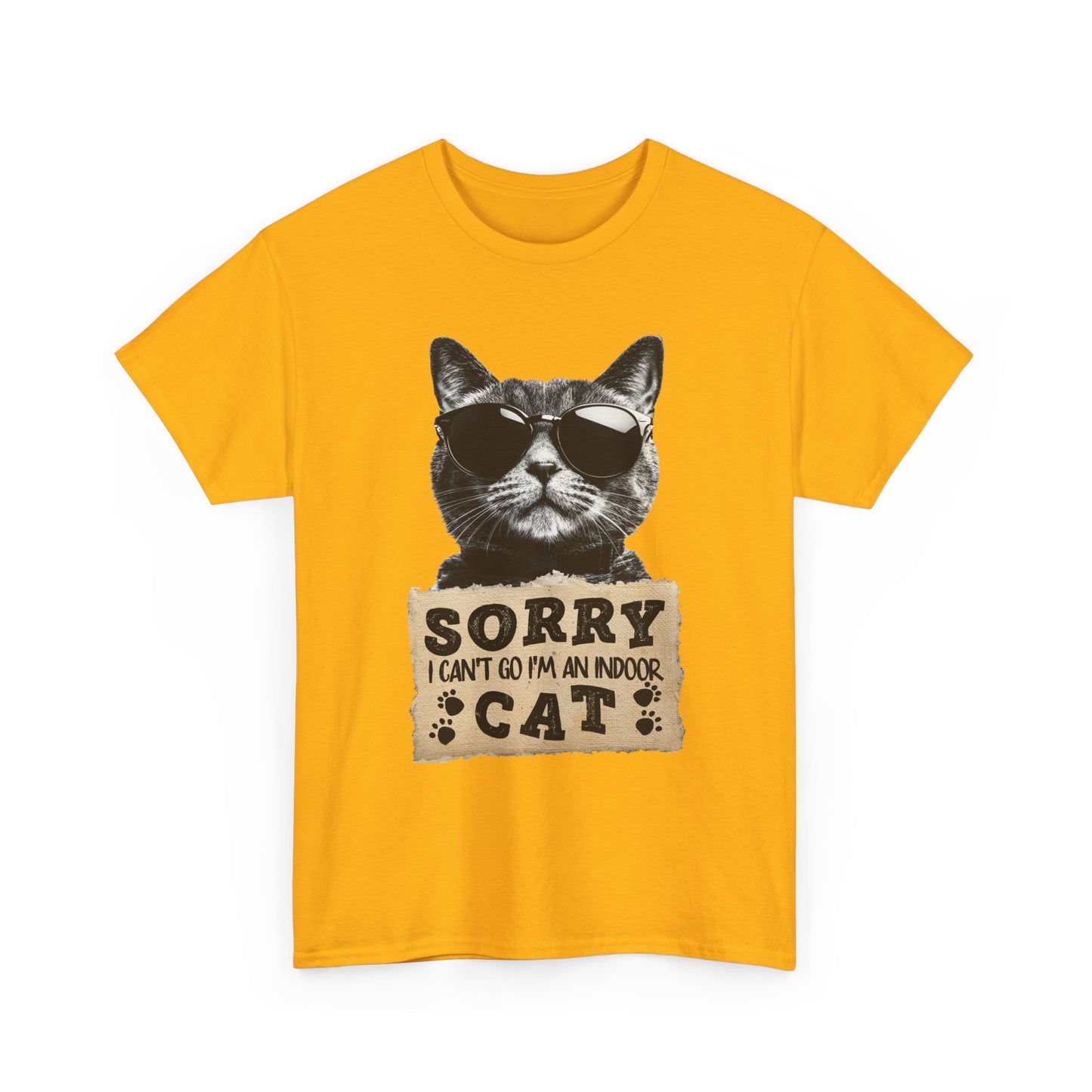 Indoor Cat T-Shirt - Sorry I Can't Go Meme Tee