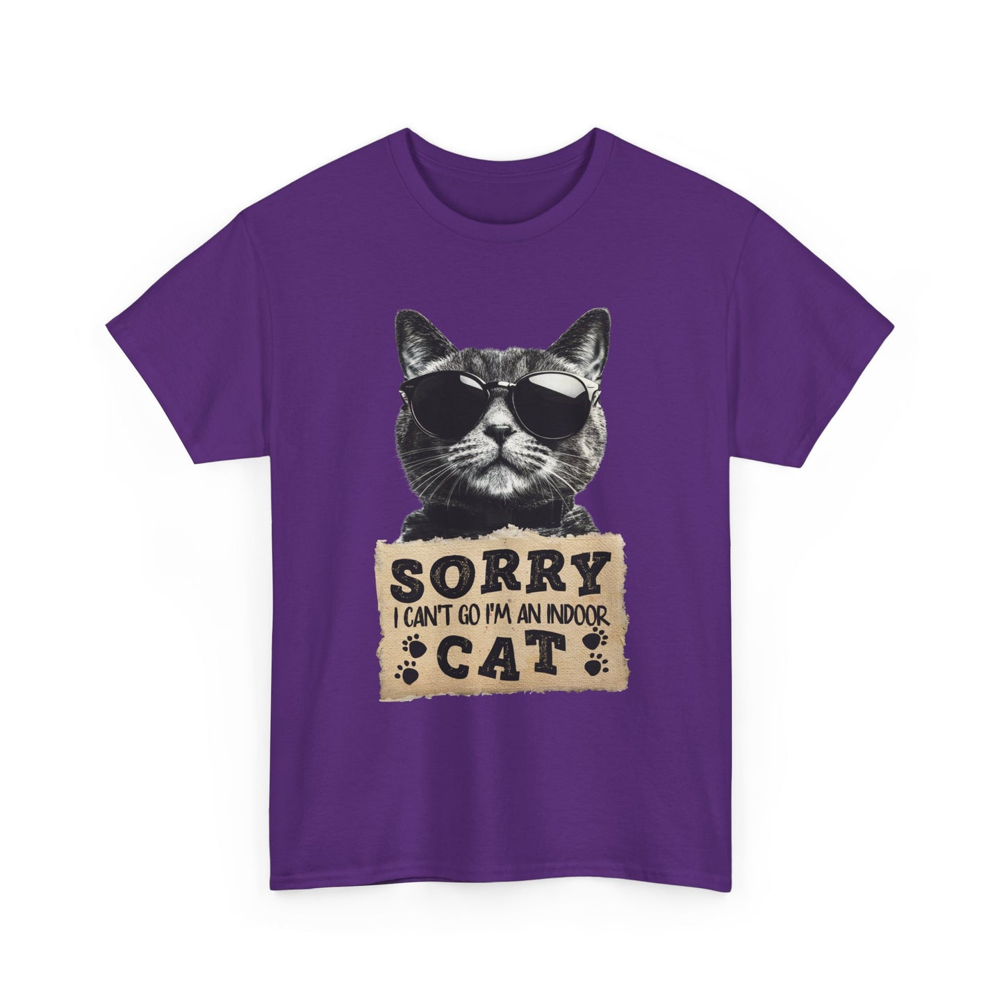 Indoor Cat T-Shirt - Sorry I Can't Go Meme Tee