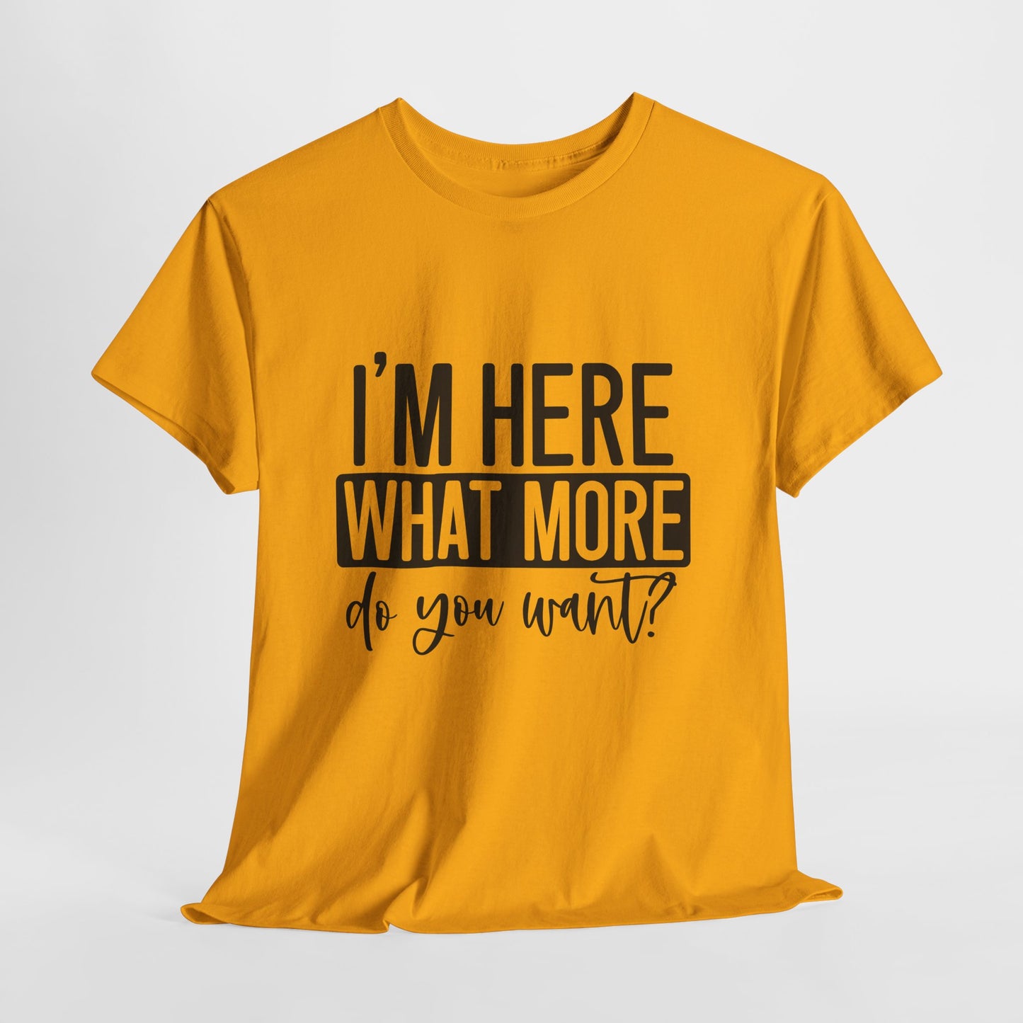 I'm Here What More Do You Want T-Shirt - Introvert Tee