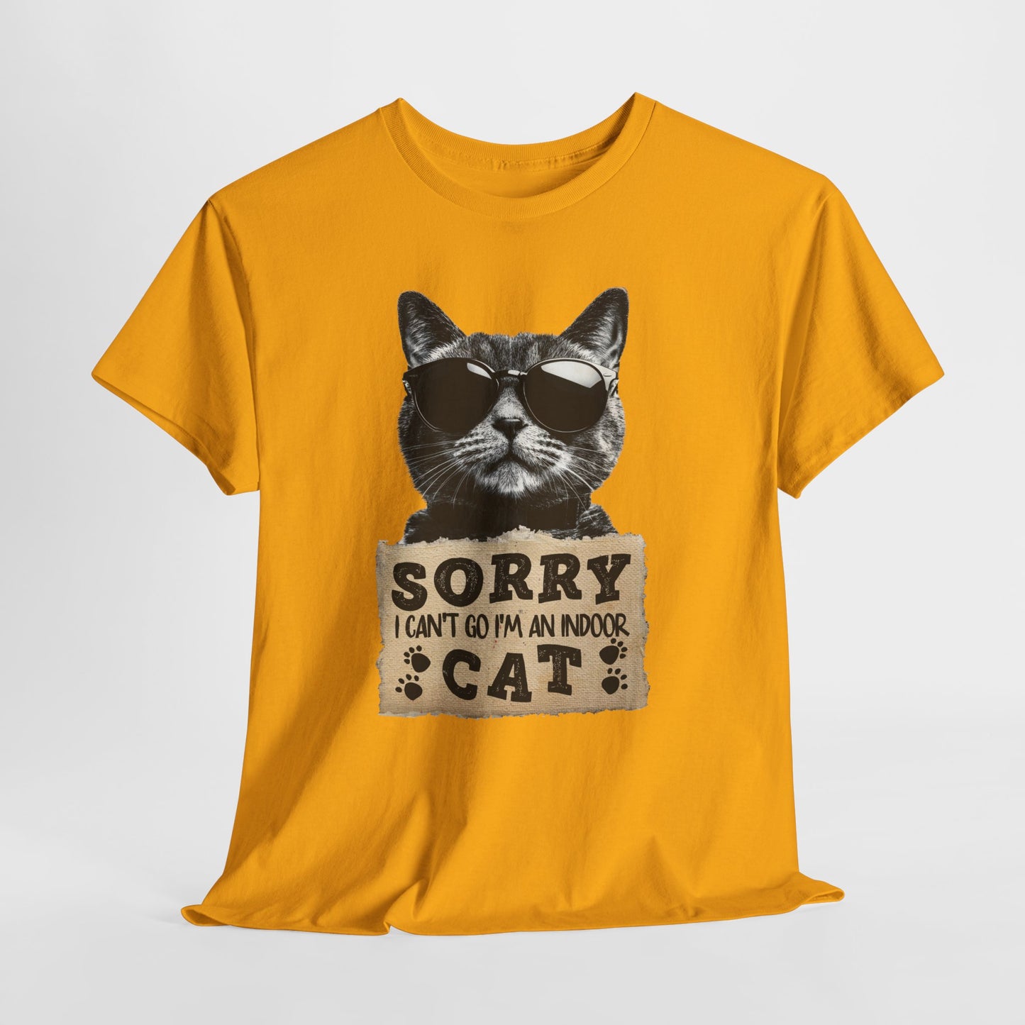 Indoor Cat T-Shirt - Sorry I Can't Go Meme Tee
