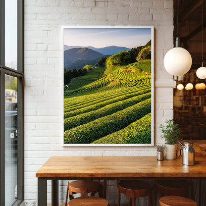 Japanese Tea Field Terraces – Green Minimal Landscape, Zen Rolling Hills