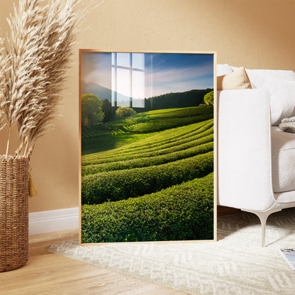 Japanese Tea Field Terraces – Green Minimal Landscape, Zen Rolling Hills