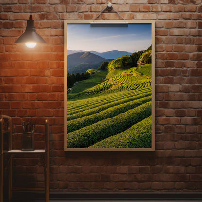 Japanese Tea Field Terraces – Green Minimal Landscape, Zen Rolling Hills