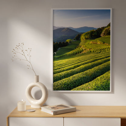 Japanese Tea Field Terraces – Green Minimal Landscape, Zen Rolling Hills