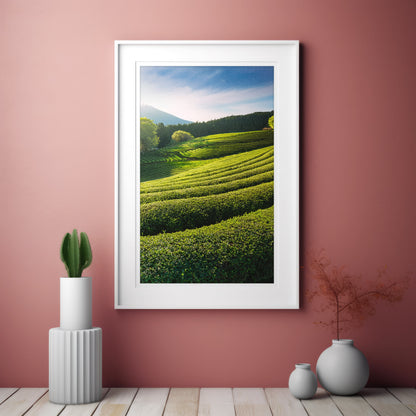 Japanese Tea Field Terraces – Green Minimal Landscape, Zen Rolling Hills